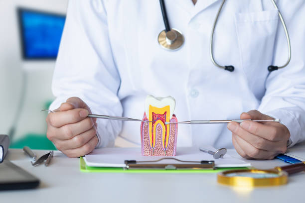 Best Emergency Dentist for Knocked-Out Tooth in Plattsburgh, NY